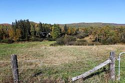 Lac-Saint-Jean naar Shawinigan